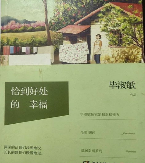 《恰到好处的幸福》毕淑敏 封面边缘轻微污渍...