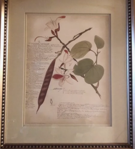 60乘60客厅卧室工艺画 有两个，标价为1...