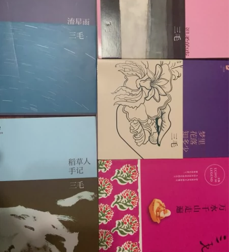 三毛全集 稻草人手记 正版 不包邮几乎全新...