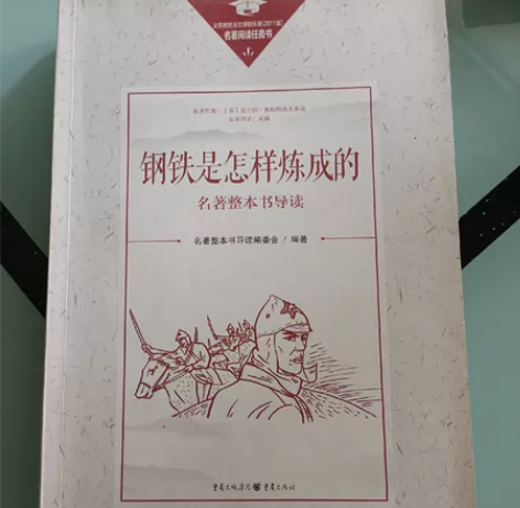 初中名著阅读书《钢铁是怎样炼成的》，自家弟...