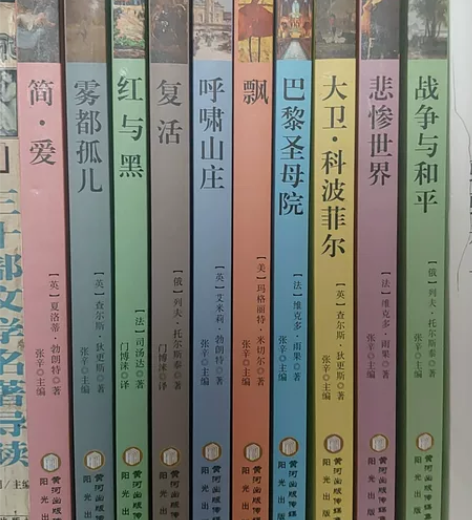 国外名著套书十本（战争与和平，悲惨世界，大...