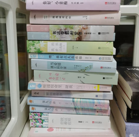 现言/古言/原耽。 正版 全是之前初高中买...