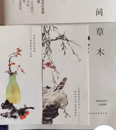 人间草木——4本 附赠：书立卡     链...