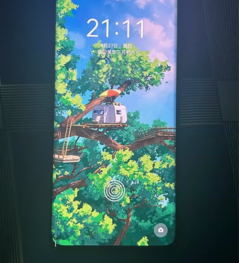 OPPO Find X2 pro 12+2...
