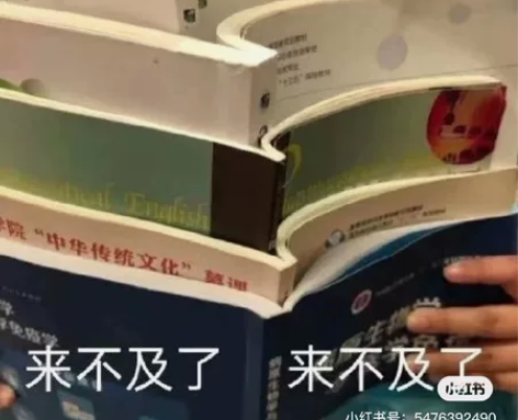 14  英文计算机辅导R语言 Java C...