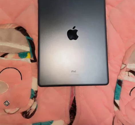 女大学生自用 带笔出 iPad9代 202...