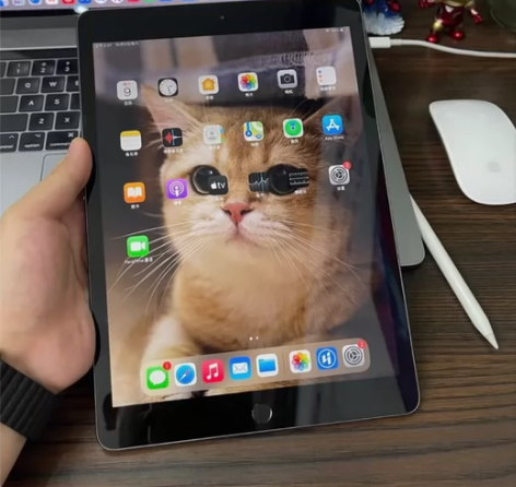 便宜出原机iPad 2021国行256g ...