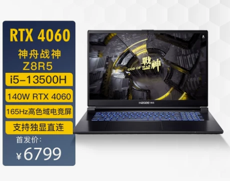 神舟战神Z8R5/RTX4060独显/13...
