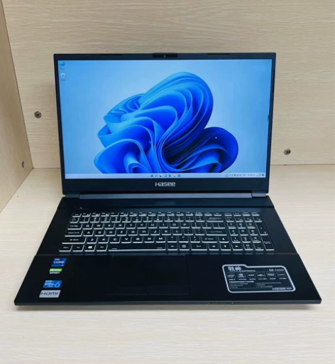 神舟战神G8-TA7NP，17.3寸大屏游...