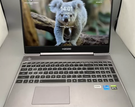 机型：神舟战神S7-TA5NB 高性价比 ...