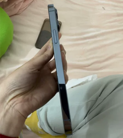 苹果13 pro max 256G 远...