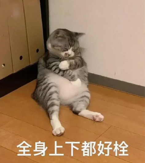 预约出台iphone14,国行未拆封,25...