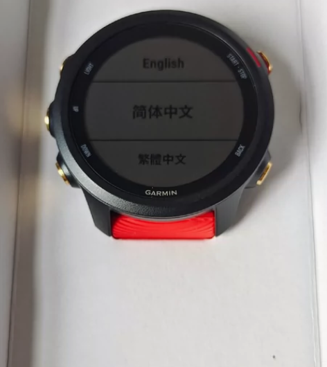 Garim佳明245M音乐版98新春季限量...