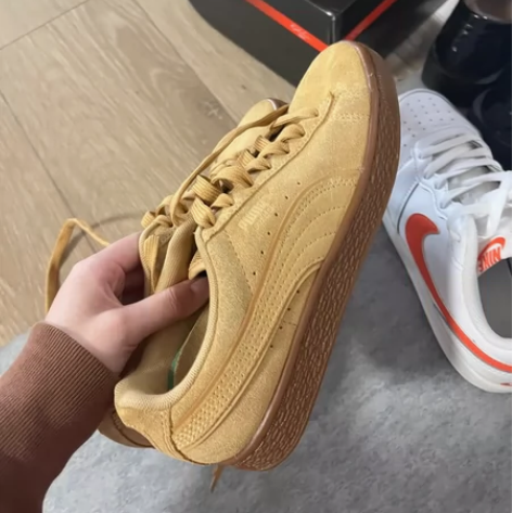 彪马棕色板鞋 36码 官方旗舰店购入 太妃...