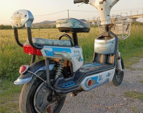 菲利普 正牌电动车 ? ? ? 所有功能正...