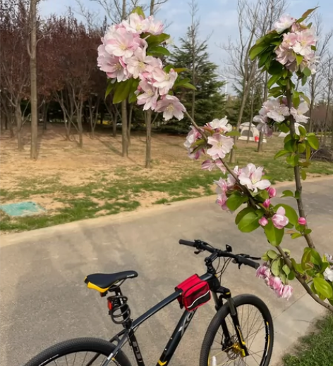 喜德盛山地车英雄300青春版山地自行车运动...