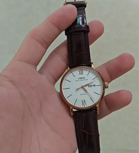 罗宾尼2018新款正品手表男全自动机械表防...