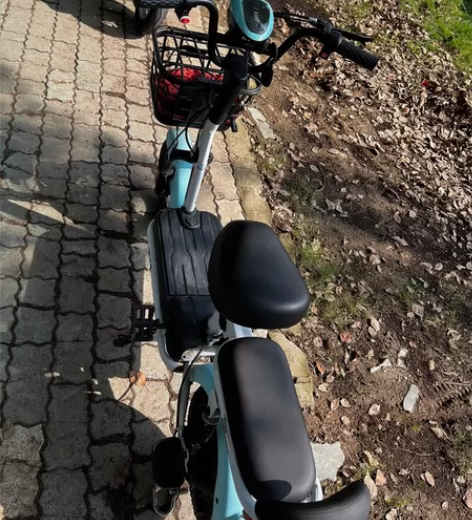 飞鸽电动自行车，东西齐全，合格证都在，里面...