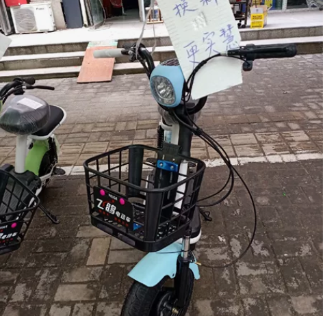 飞鸽牌电动车专为学生和广大妇女们打造的一款...