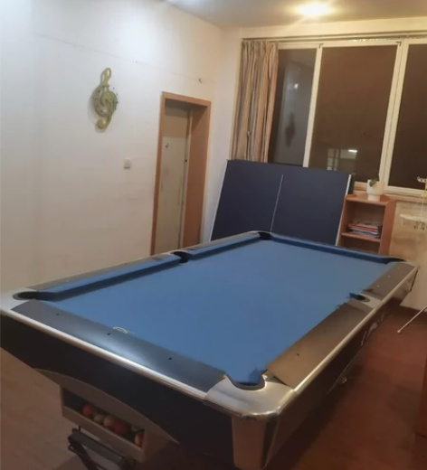 星迪牌标准黑八九球台球桌,配台球一副,台球...