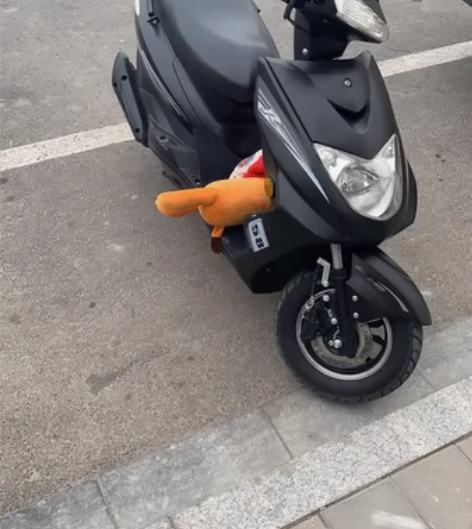 自用，只骑了1900公里，回老家用不上了，...