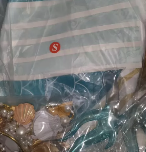 西施游龙清影cos大全套 从头到脚什么都有...