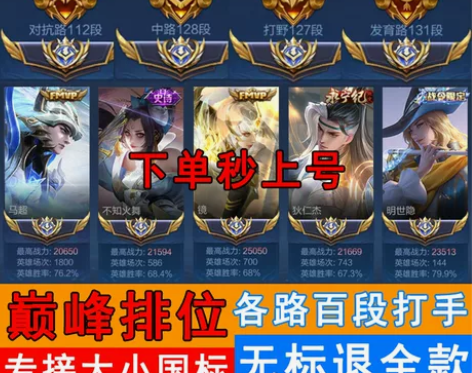 王者荣耀代练大小国标战力魔方省金标巅峰赛百...