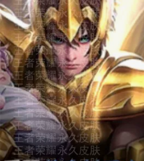 王者荣耀后裔黄金射手座皮肤套装时装 东西是...