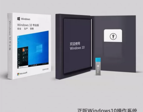 正版win10专业版u盘/Windows1...