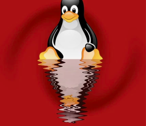 Linux系统咨询，Linux程序设计，C...
