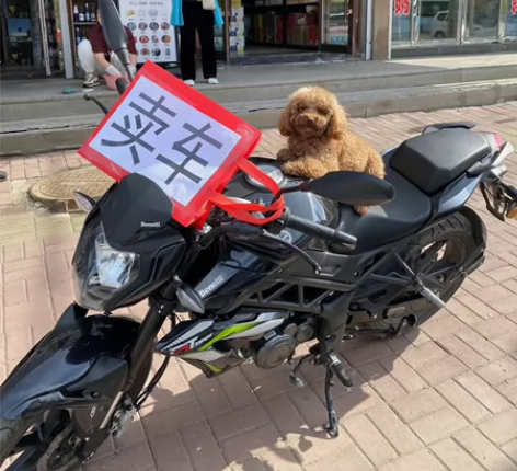 22年9月，贝纳利红宝龙。 感兴趣的话点“...