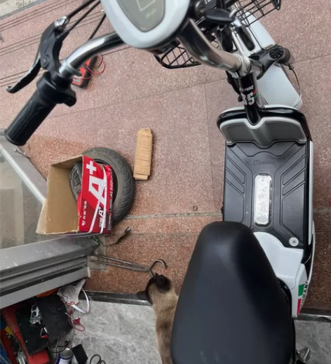 雅迪小简易 48伏 12安 电池一年 续航...