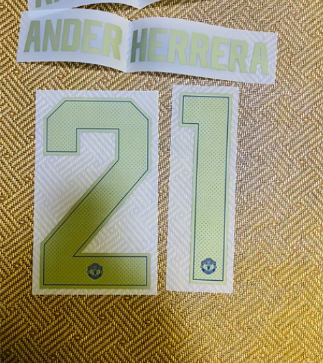 曼联2018/19客场杯赛埃雷拉印字 感兴...