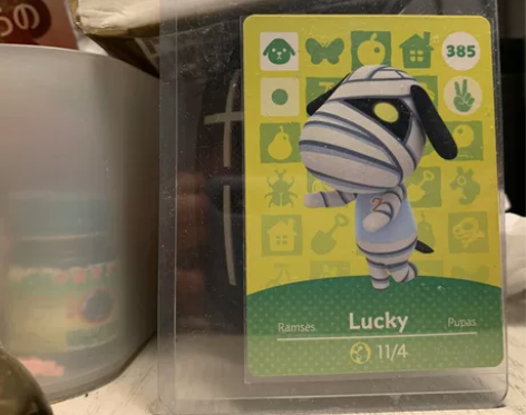 #全部# 动物之森 官方正版小动物 ami...