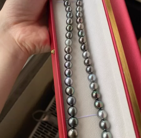 真科研大证 南太平洋大溪地 今年的新证，圆...