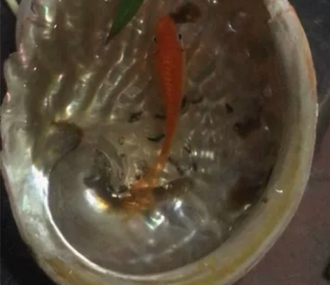 客户私人订制款，容器客户提供的，一共画了有...