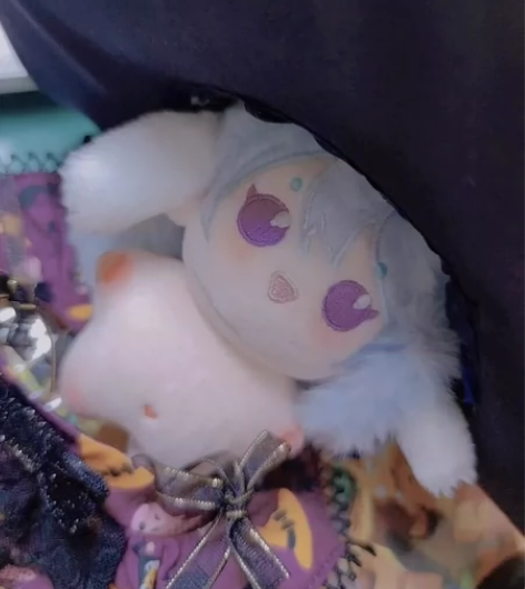 【转单】布丁涉 海星体10cm原价转单 待...