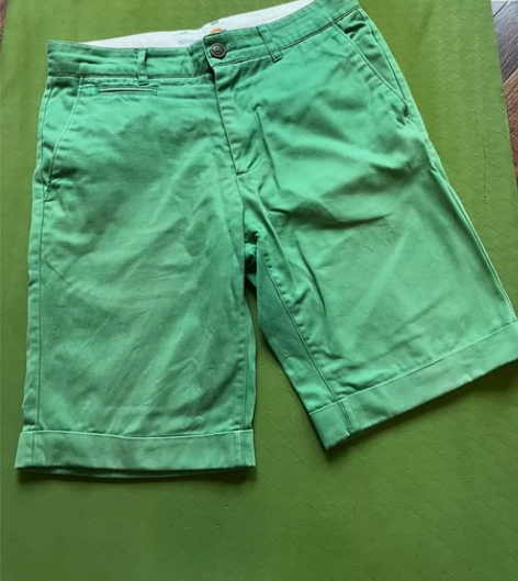 Dickies男士5分休闲短裤M码 美国买...