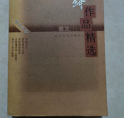 杨绛作品精选:散文1：散文Ⅰ 感兴趣的话点...