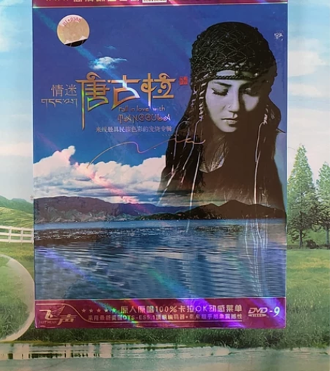 二手碟片DVD,情迷,唐古拉,米线最具民族...
