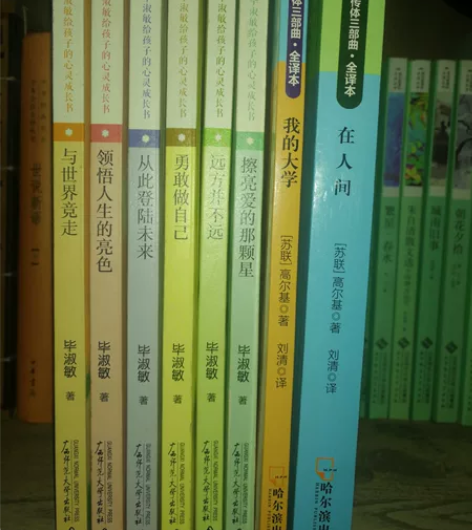毕淑敏文学类闲置书籍,《与世界竞走》《从此...
