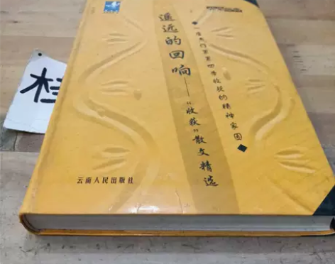 遥远的回响——“收获”散文精选 软正版 余...