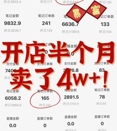 可以直接帮助选品的陪跑 实操百个小红薯店铺...