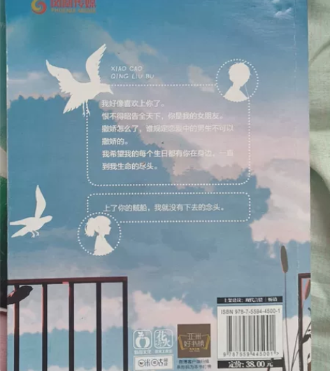 校草请留步直球学霸少女X高冷冰山校草校园甜...