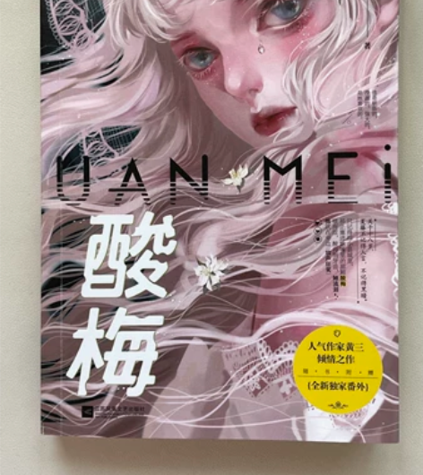 酸梅黄三著晋江文学青春校园言情小说实体书全...