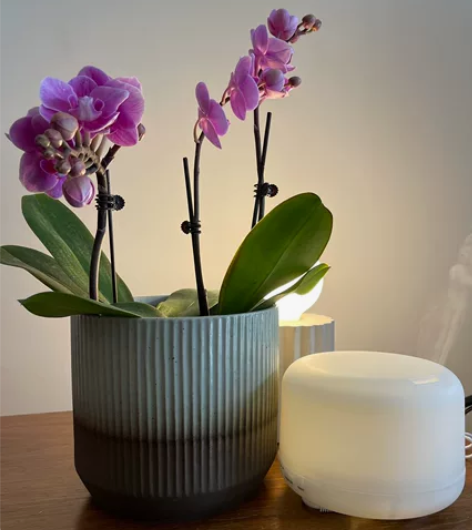 香薰机  muji类似款 全新，黄灯，带遥...