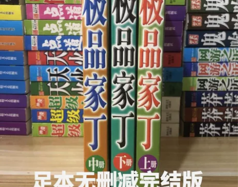 极品家丁小说全套大结局热门穿越历史爽文言情...