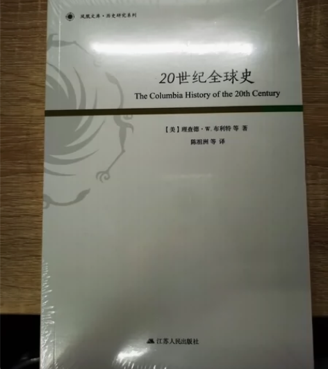 20世纪全球史/历史研究系列/凤凰文库 感...