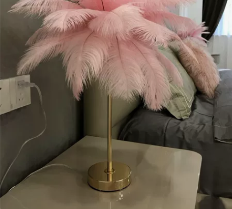 店不做了，处理20个羽毛装饰小夜灯 网红羽...