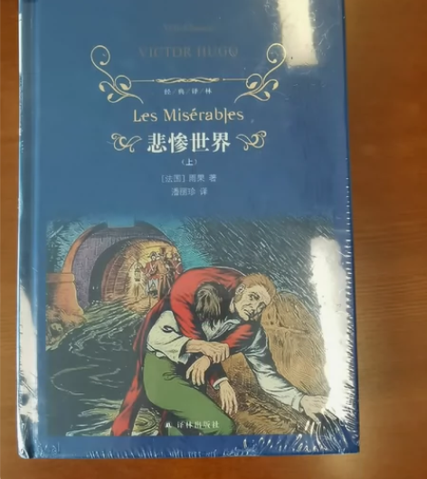 悲惨世界 上下全2册套装 文学名著经典译林...
